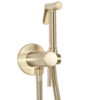 Набор душа гигиенического REA LOOP BRUSHED GOLD