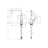 Змішувач Hansgrohe Focus 280 для кухні Matt Black (31817670)