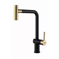 Золотий змішувач для кухні з висувним виливом Nett FG-44