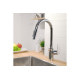 Смеситель Hansgrohe Focus 240 2jet для кухни с выдвижным изливом Sbox (73880000)