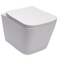 унітаз Rea Raul Rimless без обідка, підвісний, сидіння дюропласт медленнопадающее slim (REA-C9660)