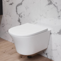 Унитаз подвесной безободковый FlashClean, с сидением микролифт AM.PM C45A1700SC Tender