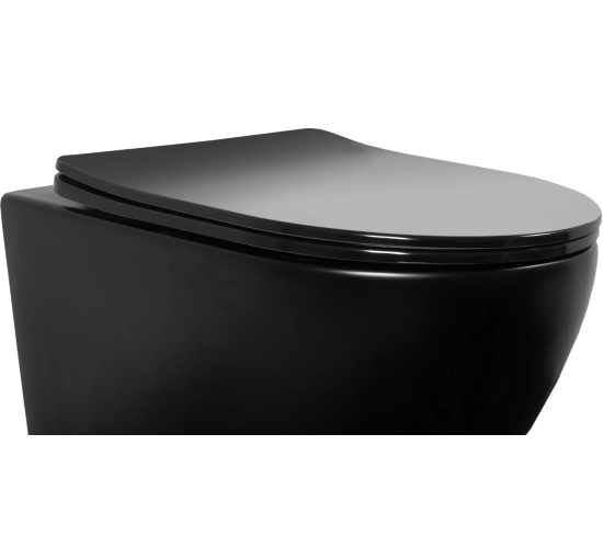 Сидения для унитаза REA FLAT BLACK