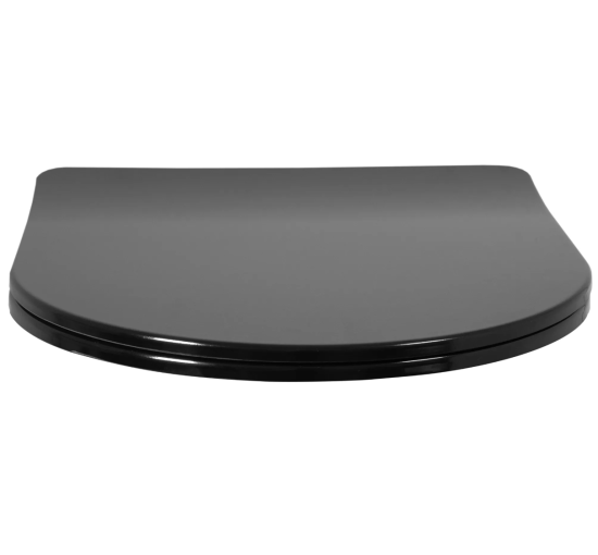 Сидения для унитаза REA FLAT BLACK