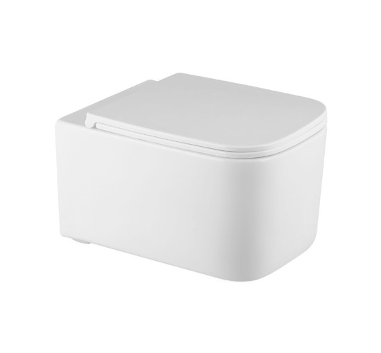 унитаз Rea Tino Rimless 52x34,5 + сиденье дюропласт soft-close (REA-C2630)