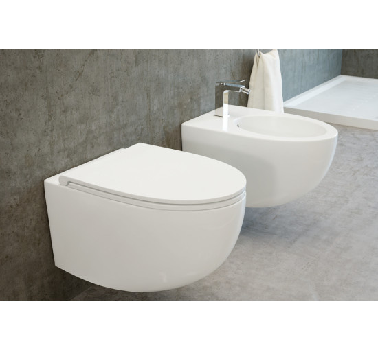 Унитаз подвесной Excellent белый матовый NO BULL-RIM biały MAT с крышкой Soft Close (CESD.MWWCSBLR;CESD.MWCWBLR)