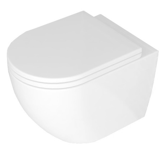 унітаз Carlo Mini Rimless 48x37 white + сидіння дюропласт soft-close (REA-C6200)
