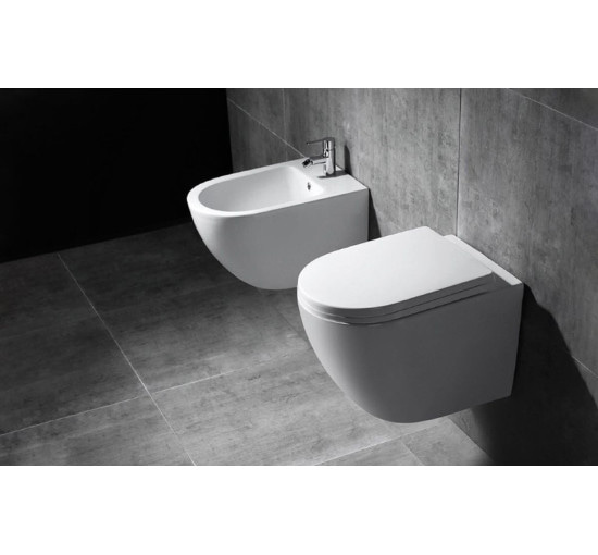 унітаз Carlo Mini Rimless 48x37 white + сидіння дюропласт soft-close (REA-C6200)