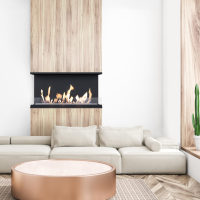 Биокамин Kratki X-RAY черный с сертификатом TUV