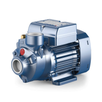 Насос для станции Pedrollo PKm-60