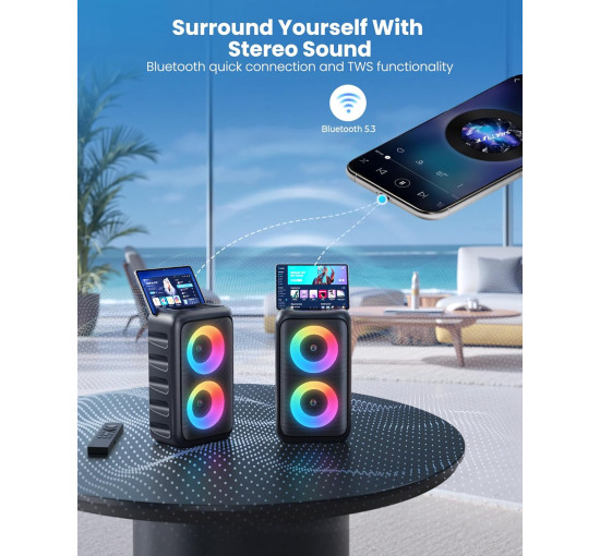 Караоке-система HEEBUKE T08, поддержка TWS/TF/USB/AUX, черный серебристый (my-19114)