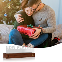 Подставка для виниловых пластинок YuanDian ZJ-YD03R Light up Now Playing, с 16-цветной подсветкой (my-19130)