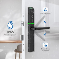 Розумний замок дверей Ruveno RUS3 з ручкою, безключовий доступ по відбитку пальця (my-19118)