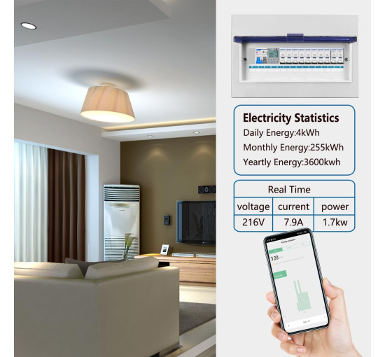 Розумний лічильник електроенергії WEBN OPWTY-63 WiFi, однофазний, з DIN-рейкою, 63 А, 230 В (my-19168)