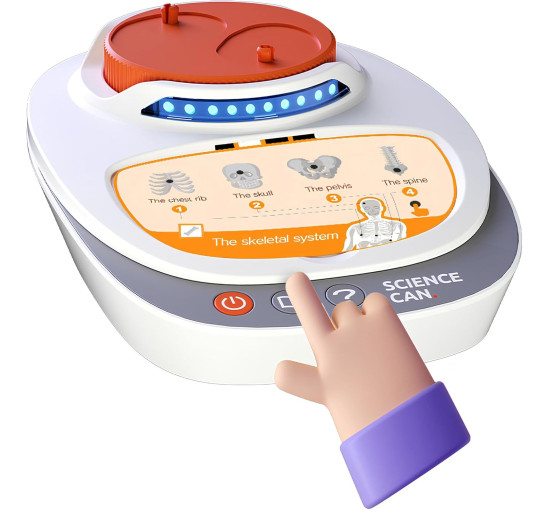 3D-модель людського тіла ScienceCan (my-20041)