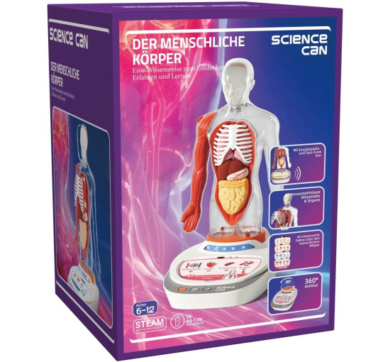 3D-модель людського тіла ScienceCan (my-20041)