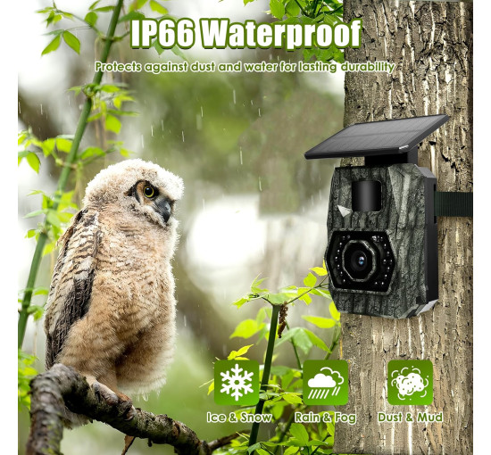 Камера для слежения MAXDONE PH970S, 48 МП, 30 кадров в секунду, аккумулятор 5200 мА·ч, темно-зеленый (my-20048)