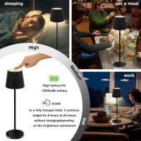 Комплект из 2 светодиодных настольных ламп SPVIND SBSY-1, аккумулятор 5200 мА·ч, черный (my-20036)