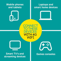 Портативный 4G Wi-Fi роутер EE PAYG 4G WiFi 2 60 ГБ, белый (my-20136)