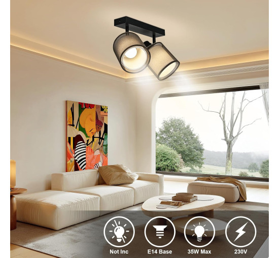 Потолочный светильник Doughelec с двумя лампами, регулируемый, черный (my-20204)