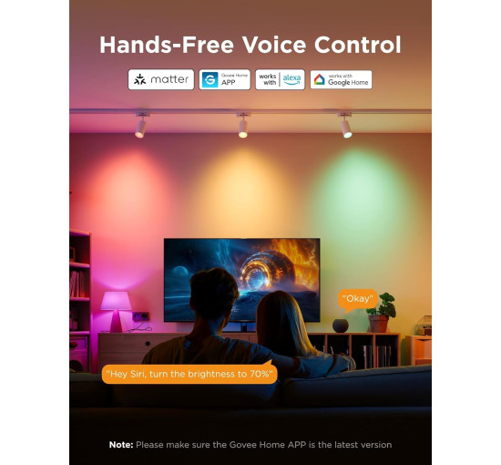 Розумна лампочка Govee H600C 450 лм, 4,8 Вт, упаковка з 2 штук (my-20208)