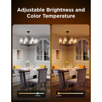 Розумна лампочка Govee H600C 450 лм, 4,8 Вт, упаковка з 2 штук (my-20208) Розумна лампочка Govee H600C 450 лм, 4,8 Вт, упаковка з 2 штук (my-20208)