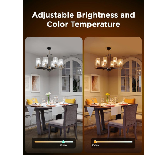 Розумна лампочка Govee H600C 450 лм, 4,8 Вт, упаковка з 2 штук (my-20208)