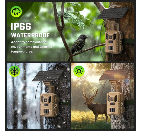 Камера для стеження VIDVIS SV-TCNW з нічним баченням, сонячна батарея, 64 Мп 4K (my-21028)