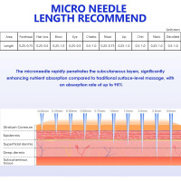 Змінні картриджі Lazzybeauty Dr.pen Ultima A6 з 12 голками для мікронідлінгу (my-21168)