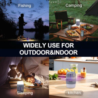 Знищувач комарів RIPPTON Grey Spider-R1, чорний (my-21192)