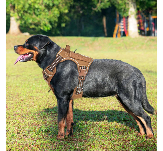 Шлейка для собак Beebiepet размер L  коричневая (6011)