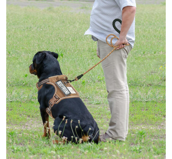Шлейка для собак Beebiepet размер L  коричневая (6011)