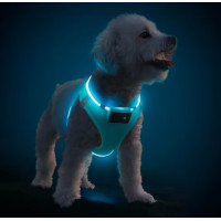 Нагрудная шлейка PcEoTllar со светодиодной подсветкой для собак (L green) (my-8052)