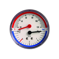 Термоманометр TM 80 (1/2", 6.0 бар) Afriso