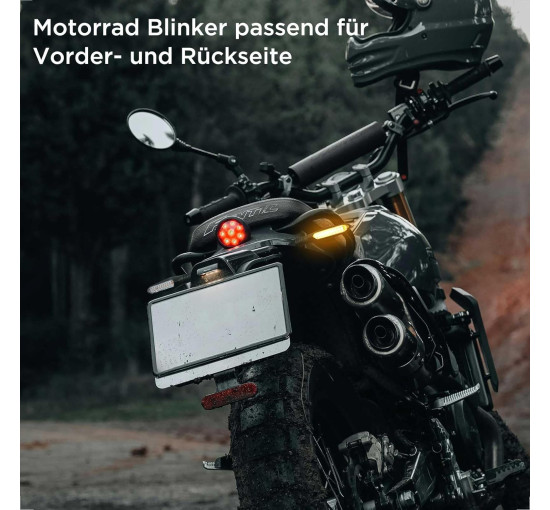 Evermotor Світлодіодний індикатор повороту ‎A08078, для мотоцикла 12 В, упаковка з 2 шт, бурштиновий (5087)