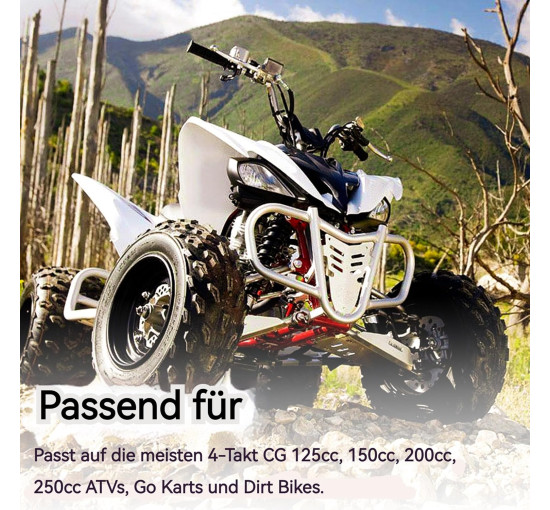 RUTU Карбюратор PZ27, підходить для CG 125cc 150cc 200cc 250cc 4-тактних ATV Go Kart Dirt Bike (5139)