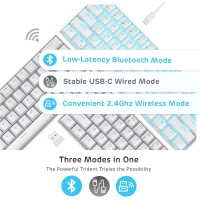 Бездротова, компактна ігрова клавіатура RK ROYAL KLUDGE RK61 з потрійним режимом, біла (4108)