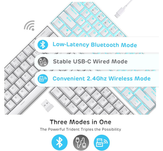 Бездротова, компактна ігрова клавіатура RK ROYAL KLUDGE RK61 з потрійним режимом, біла (4108)