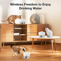 Фонтан-поїлка для домашніх тварин AOZOOM TZ-WF02 зі світлодіодним підсвічуванням (4007)