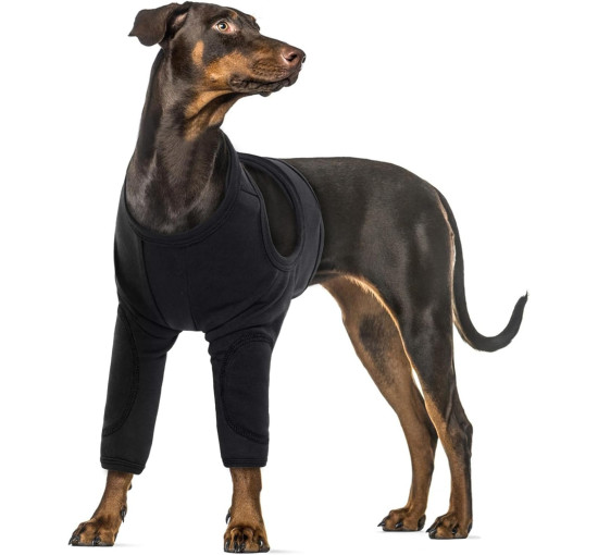 Комбинезон для собак PUMYPOREITY с защитой от травм передних конечностей, черный (3179)