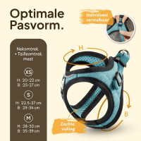 Комплект шлейки для кошек Tierhood 123698745 с поводком, Размер S, синий (4193)