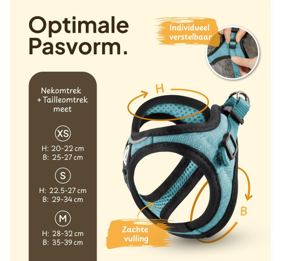 Комплект шлейки для кошек Tierhood 123698745 с поводком, Размер S, синий (4193)