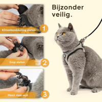 Комплект шлейки для кошек Tierhood 123698745 с поводком, Размер S, синий (4193)