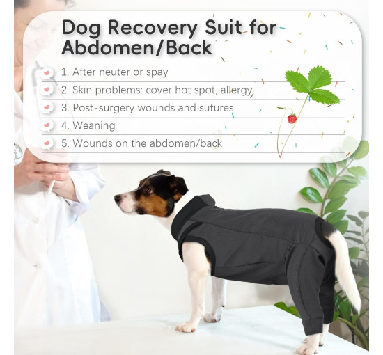 Костюм PUMYPOREITY для собак после операции, серый (3191)