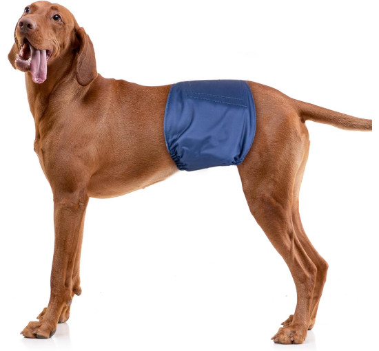 Мягкие повязки на животик Pet Soft для собак (3078)