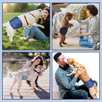 Мягкие повязки на животик Pet Soft для собак (3078)