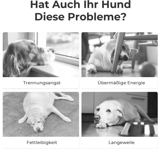 Интерактивный мяч для собак Cheerble C1221, голубой (3063)