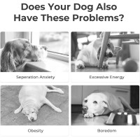 Интерактивный мяч для собак Cheerble C1221, оранжевый (3064)