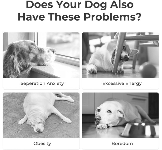 Интерактивный мяч для собак Cheerble C1221, оранжевый (3064)