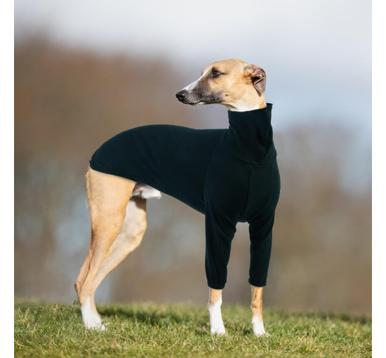 Пальто PUMYPOREITY для грейхаундов, темно-зеленый (3189)